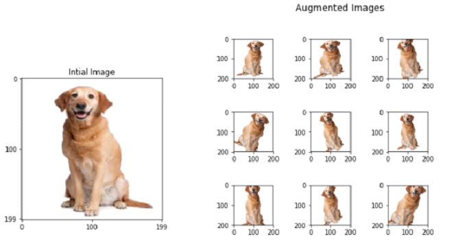 Data Augmentation