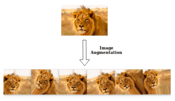 Image augmentation example