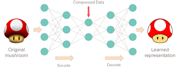 Autoencoder principle