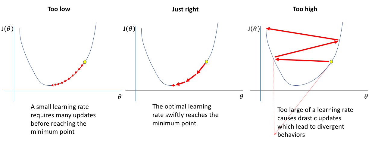 Importance of learning rate