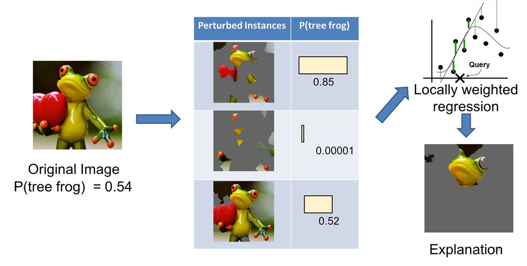 LIME process with images