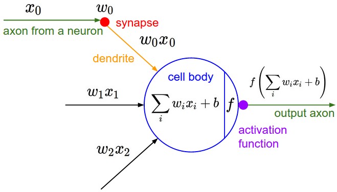 Formal neuron model