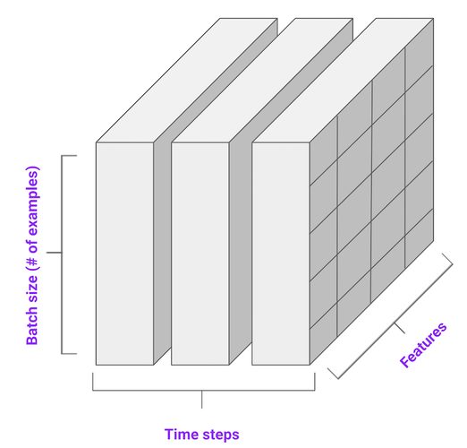 Input sequence format