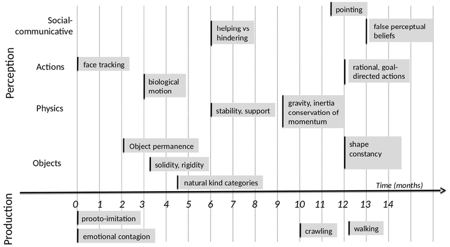 Babies learning roadmap