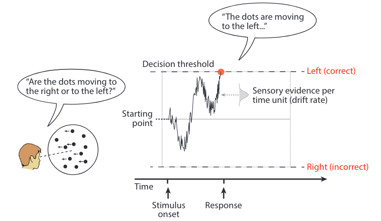 Illustration of the DDM model