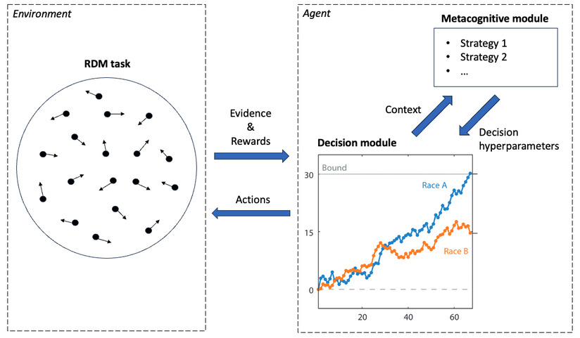 Confident agent model